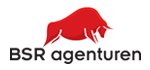 bsr agenturen logo